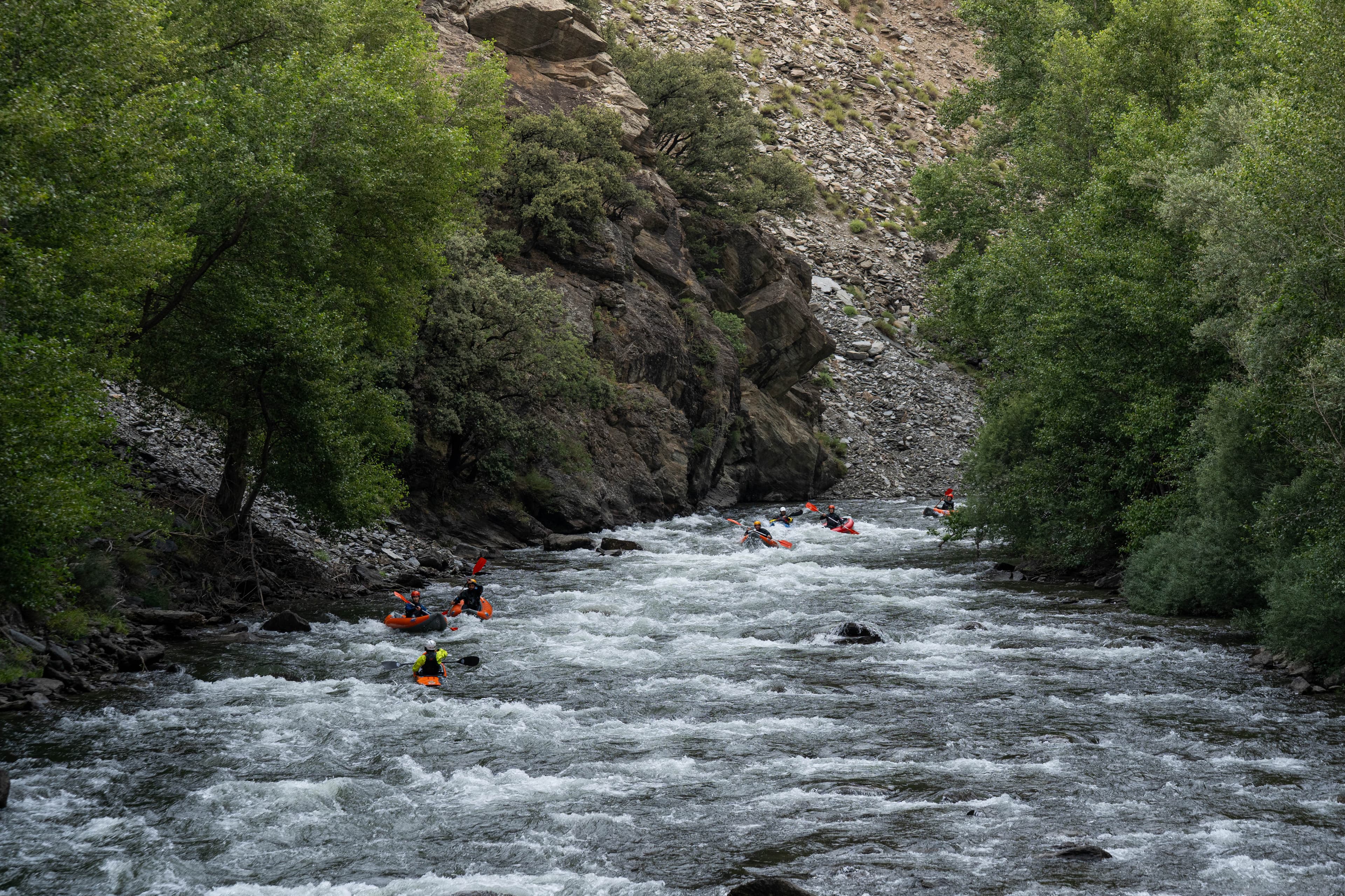 Canoes tarda